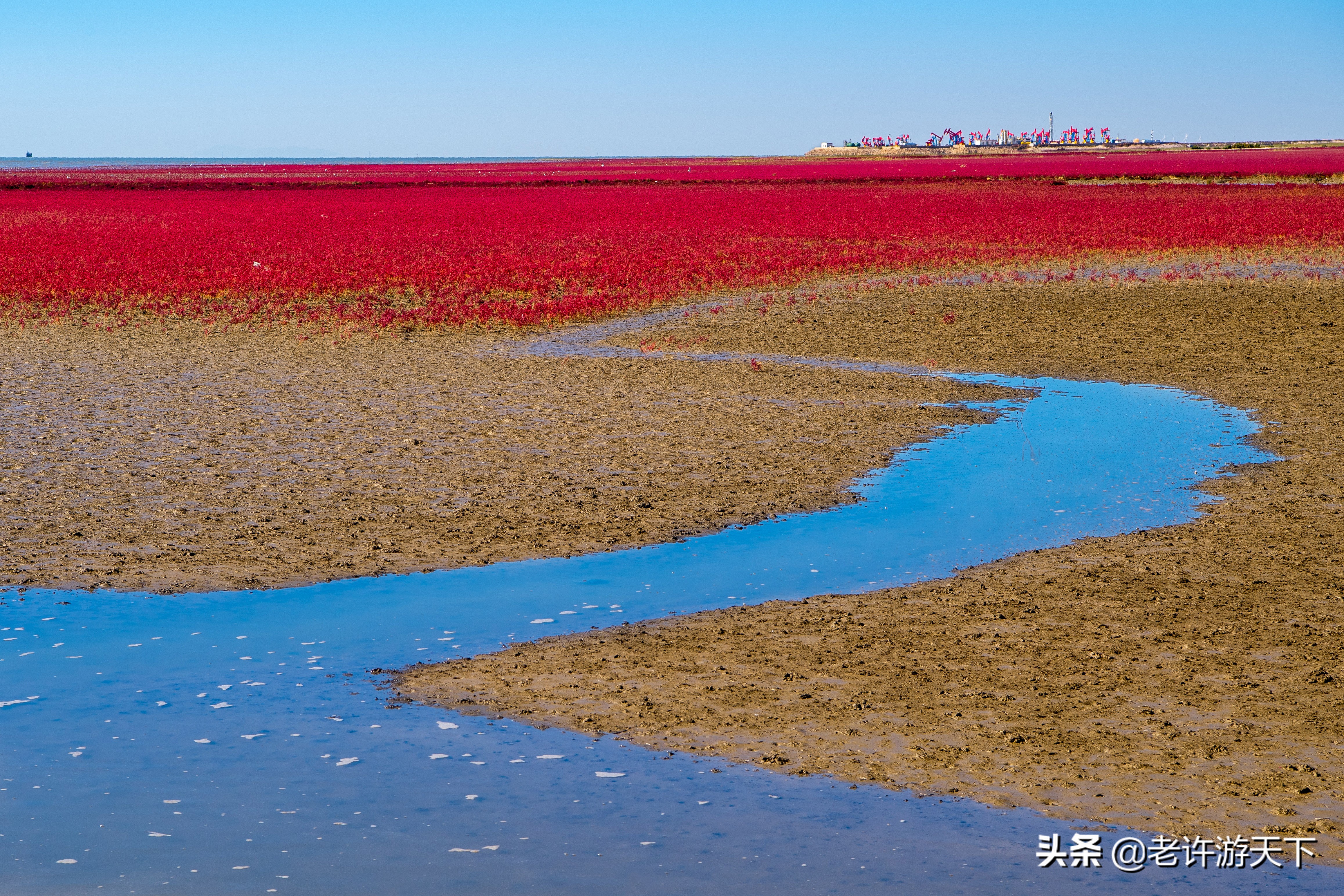 老许游记大全,老许游记第四天完整版