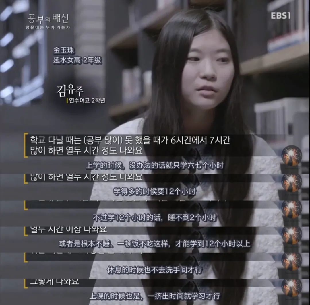 韩国最好看的狗,韩国最火的狗排行榜