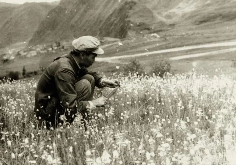 两位逝世的院士为我们留下了什么,最不像学者的教授