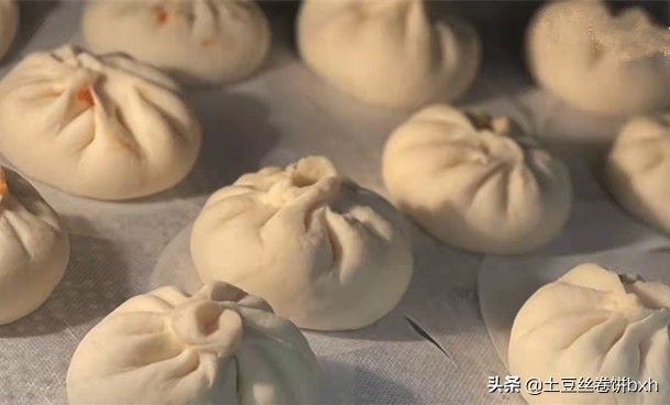 黄磊做包子的视频,做叉烧肉包子视频全教程