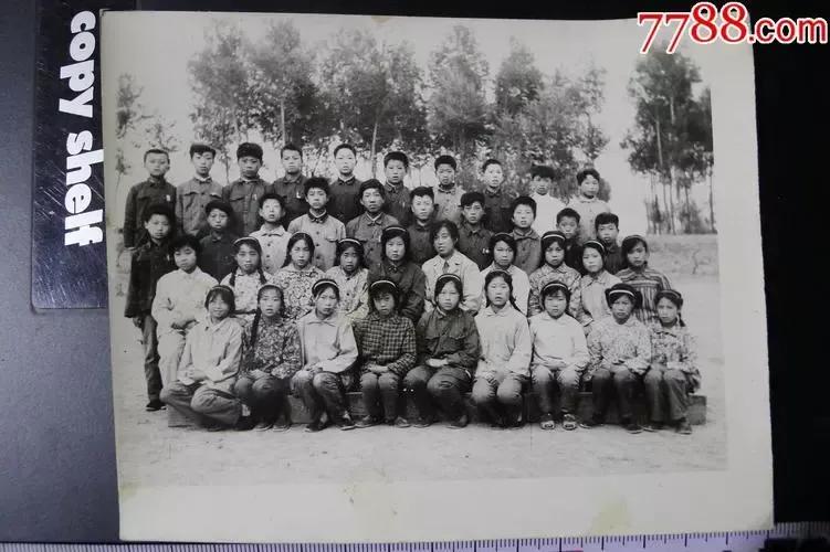 生于70年代电视剧免费观看,生于70年代全集