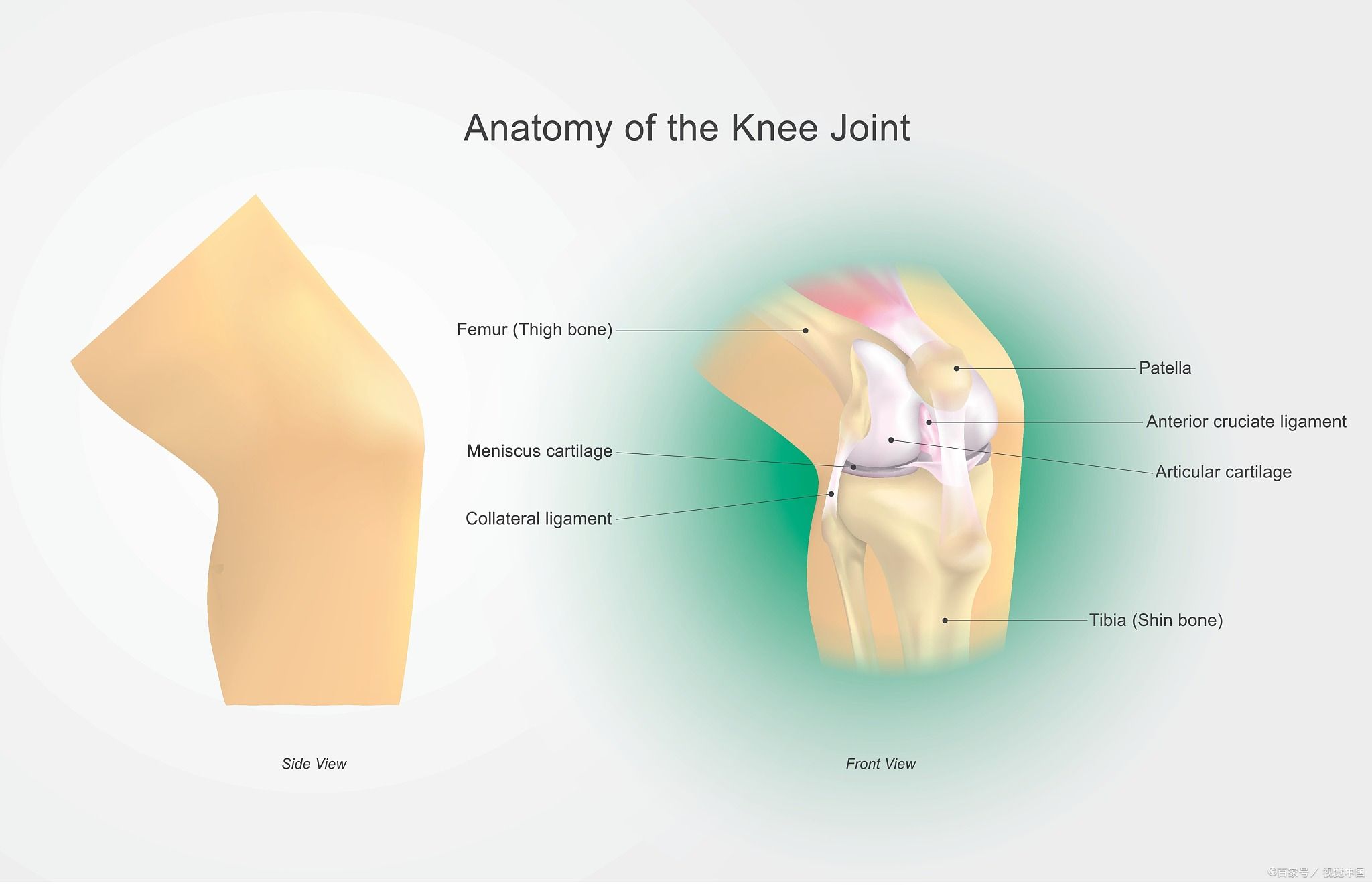 老年健康常识100条,健康中老年人要注意的六件事