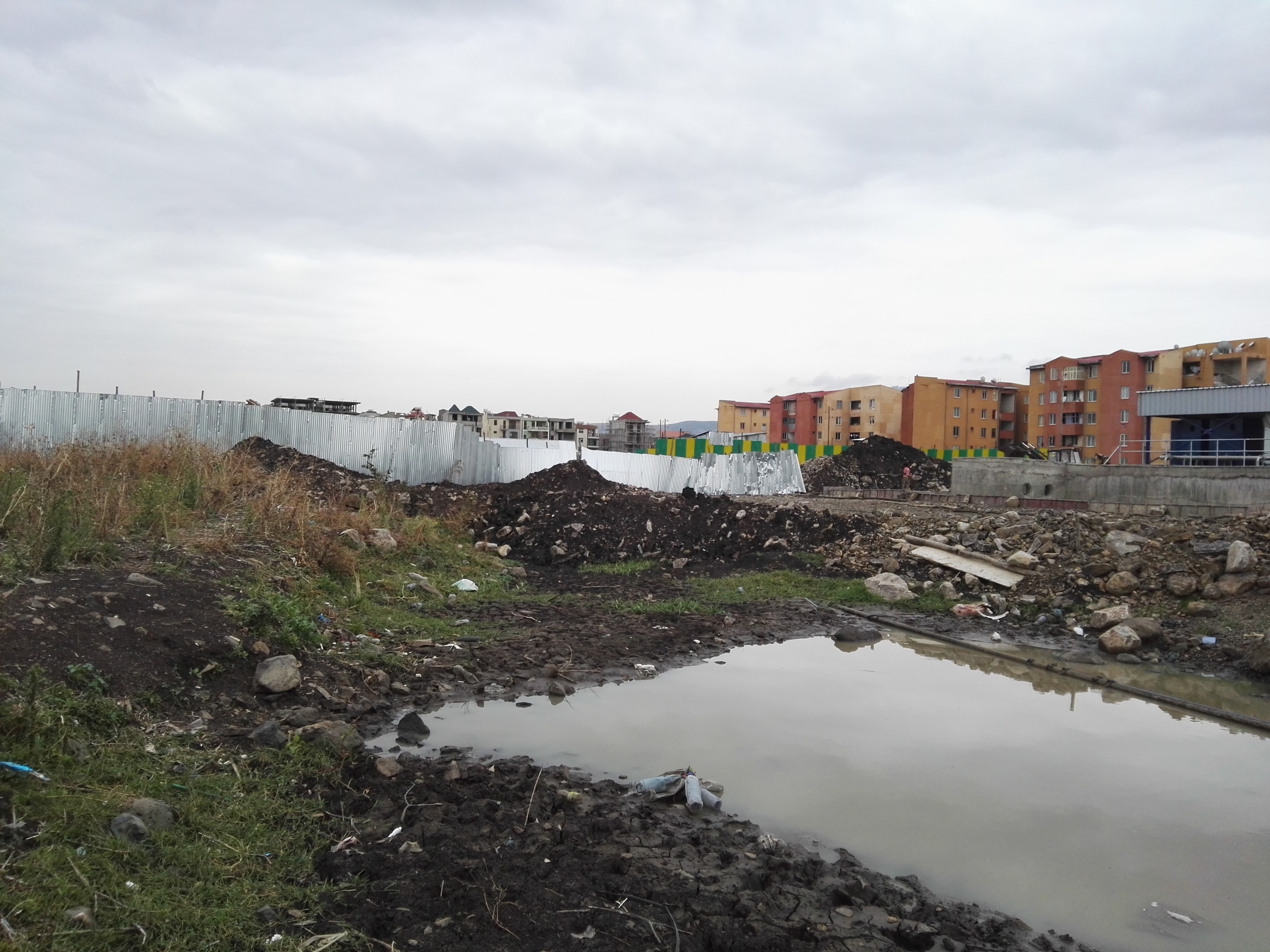 非洲开发样本：亚的斯亚贝巴在城市规划和项目策划上的缺陷