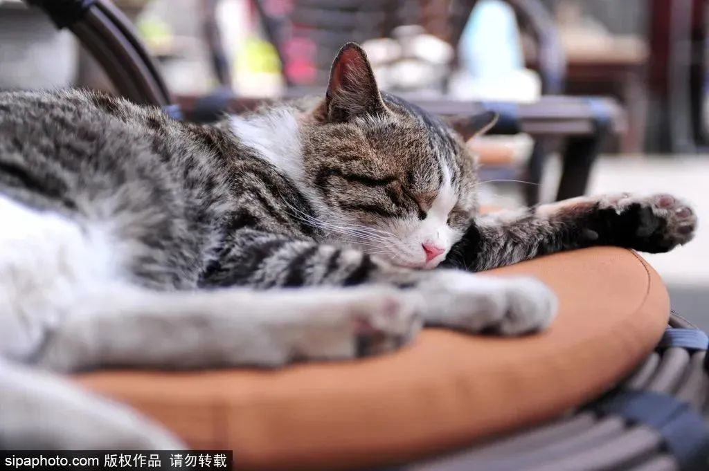 北京胡同游|探寻胡同之根，感受文艺浪漫，寻踪名人故居，尝鲜京味美食