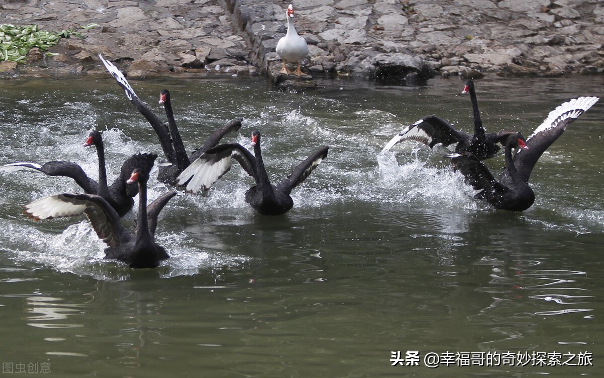 郑州旅游年卡补贴价40元，包含哪些景点？含金量如何，值不值得买