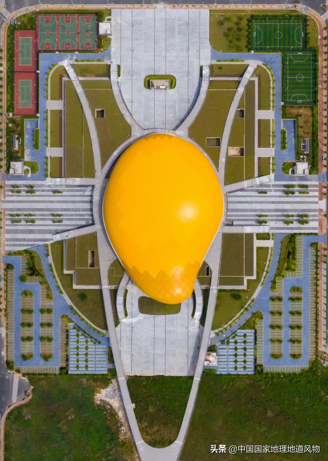 广西水果产量连续五年全国第一,广西和陕西谁才是水果第一大省