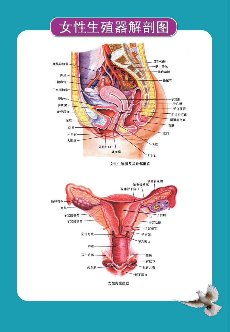 避孕|爱他的前提是爱自己【下】