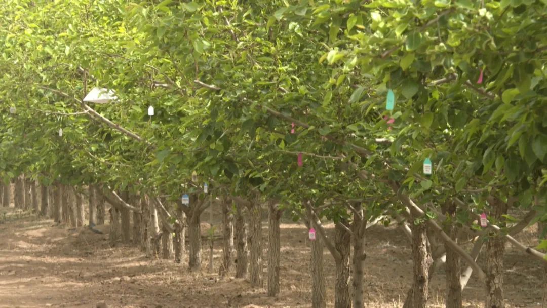 三抓三促工作行动方案,三抓三促行动开展情况通报