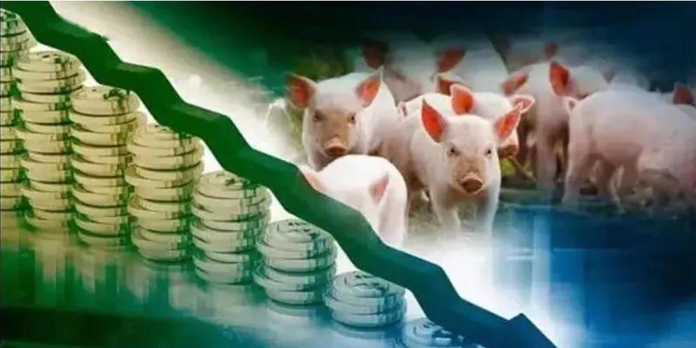 高盛在中国农业布局,高盛进入中国养殖业的目的