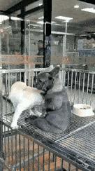 性取向测试,性取向测试怎么看结果