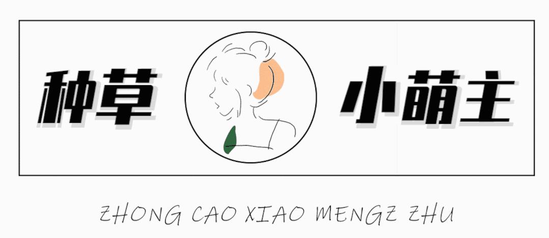 秋冬新款潮袜低价大放送 (潮袜推荐最新款中筒)