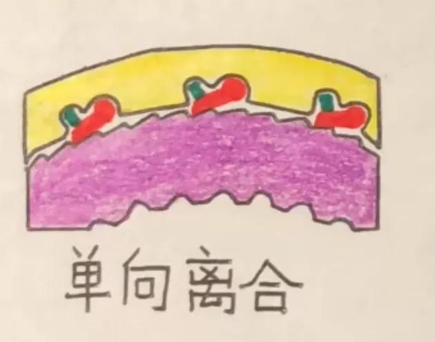 混动怎么解释,混动的解释