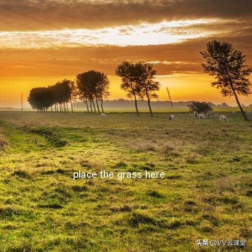 在Photoshop中创建带有月亮的树的超现实图稿，VV云课堂教程