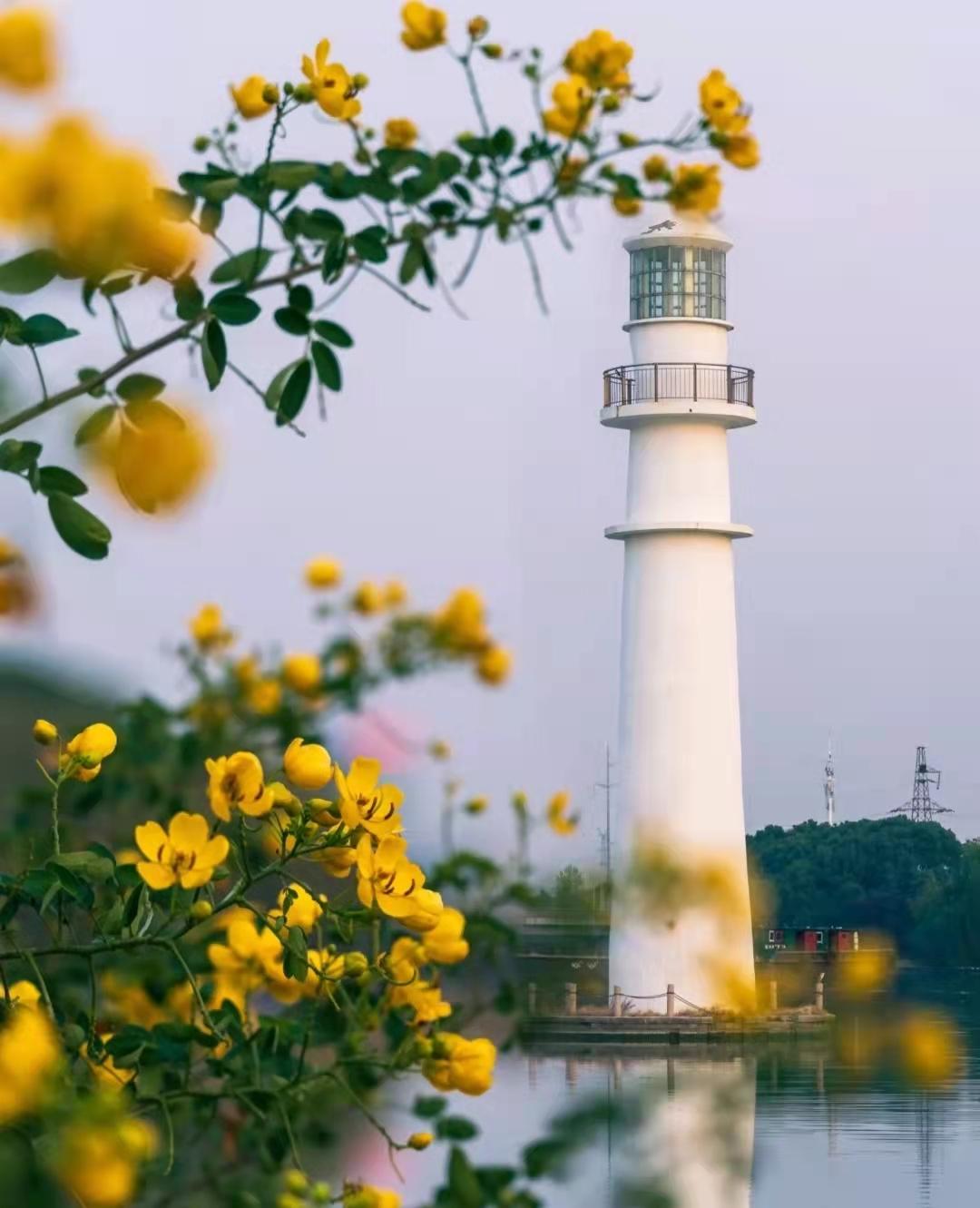 苏州西山岛打卡地灯塔,苏州五大绝美夜景打卡点