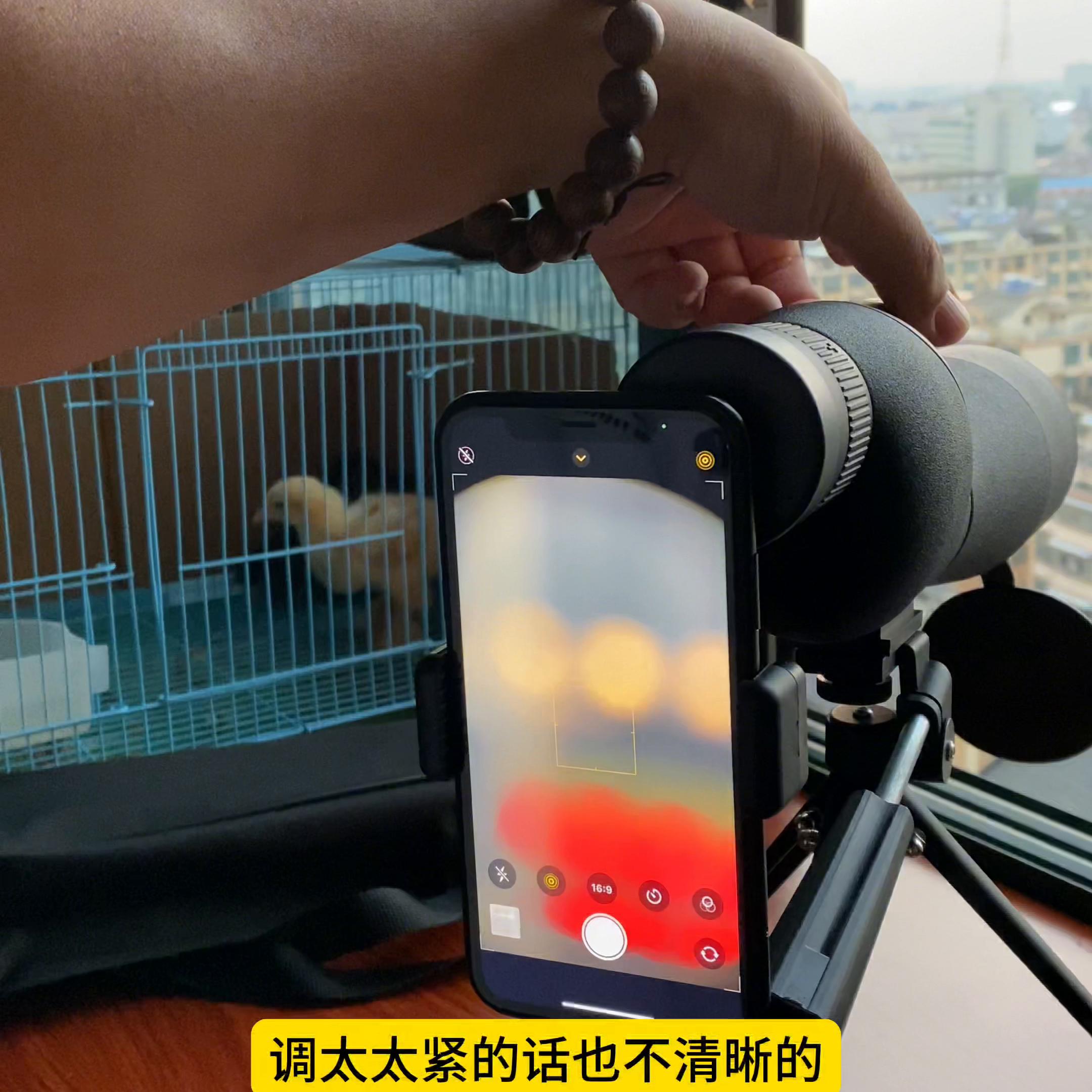 75倍观鸟镜什么效果,20-60倍观鸟镜