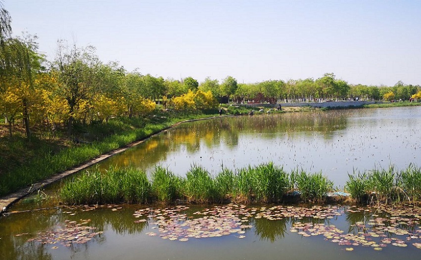 天津周边冷门海边,五一短途冷门自驾游天津