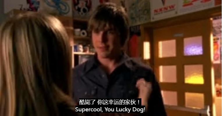 这届学生，开始在宿舍遛“纸狗”了