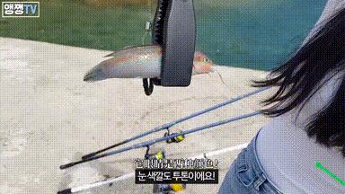 真实女钓手与网红女钓手对比,网红女钓手钓大鱼集锦