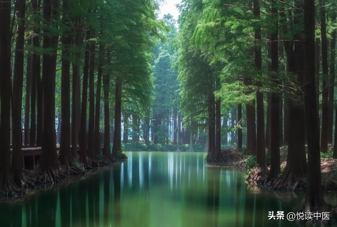 穴位遗精,男性频繁遗精按哪个穴位