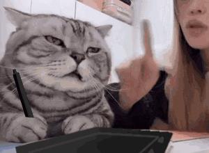 win7电脑优化提速最快的方法,电脑优化提速最快的方法