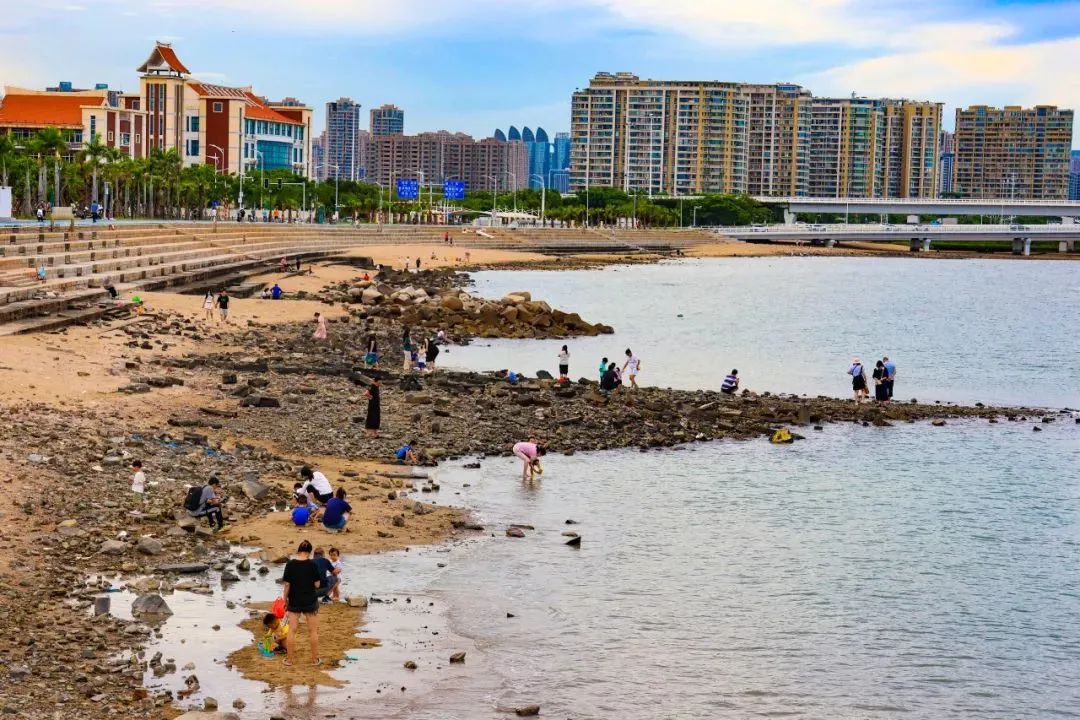 赶海圣地厦门,厦门周边赶海的最佳地点