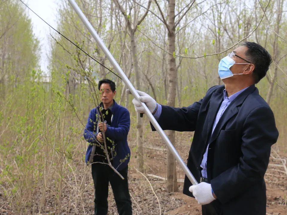 小产业带动乡村振兴大步伐,产业扶贫助力乡村振兴