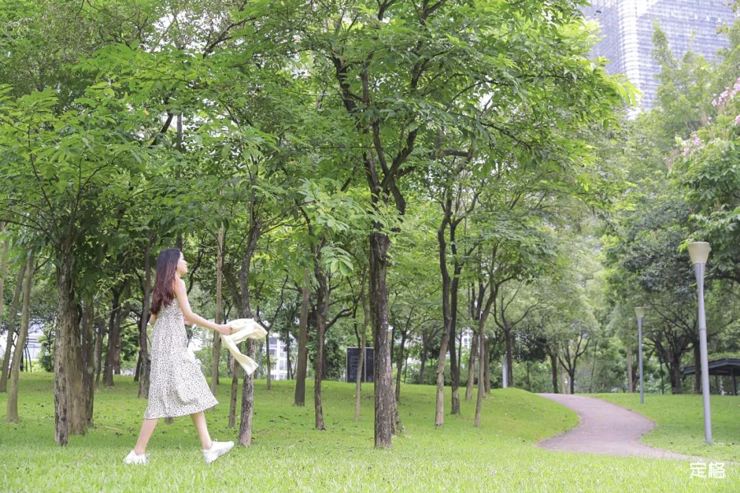 深圳地铁可以直接去的免费景点,深圳免费地铁直达景点12号线