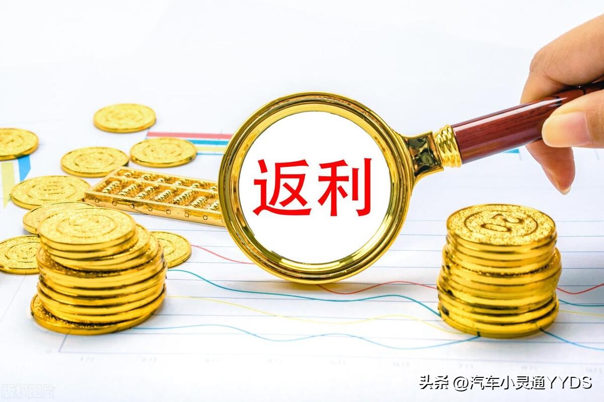 庞大集团若退市对卖车有影响吗,庞大集团现在有多少家店