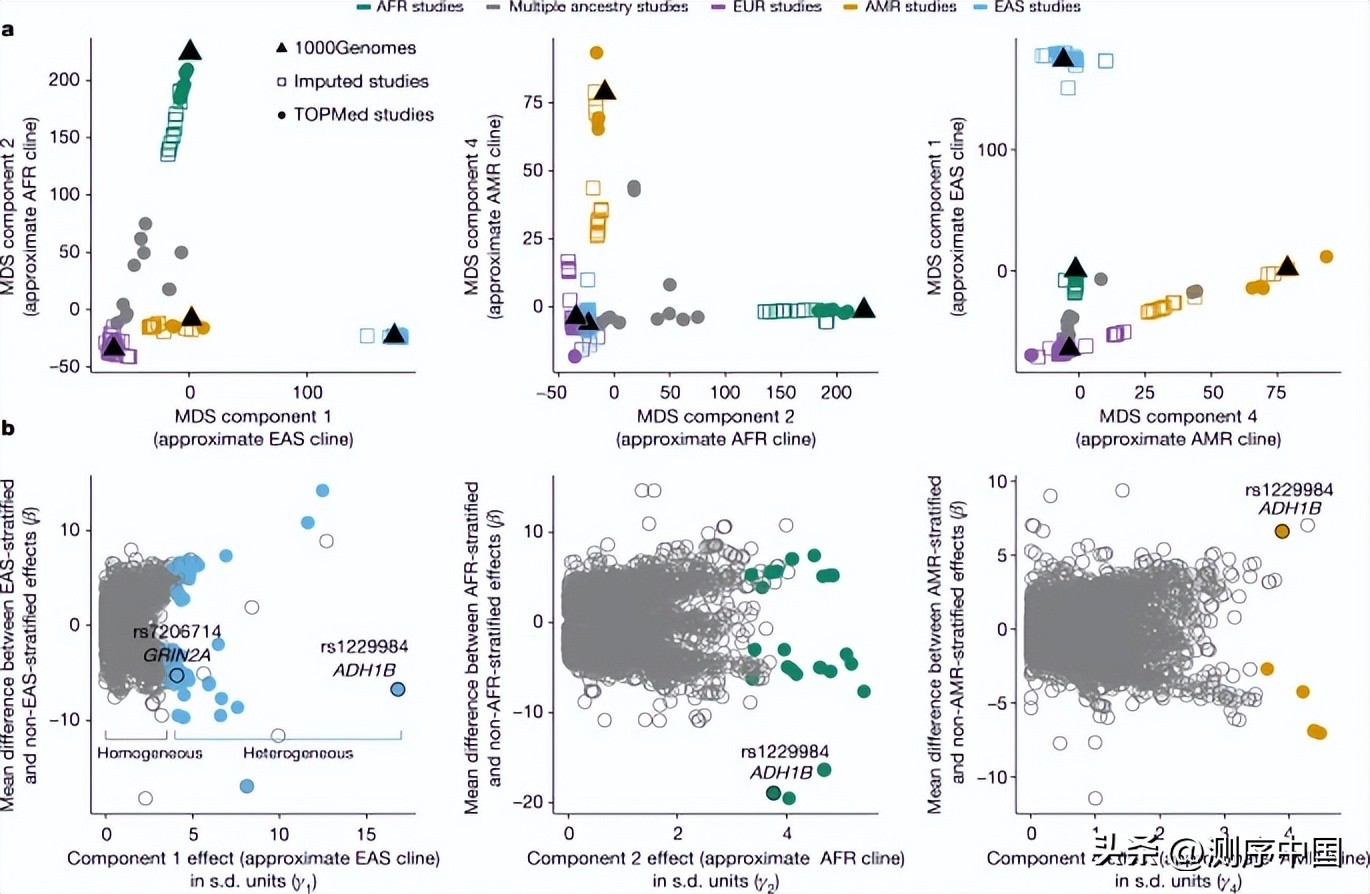 340万人GWAS研究：与酒精和*草烟**使用相关的基因在不同种族间共享