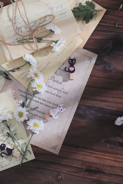 春风十里如沐春风散文,经典里的春天散文