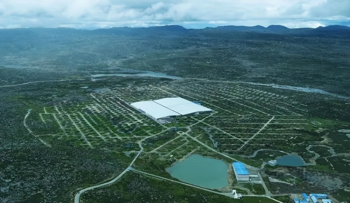 高山上的猎人,高山上的鸟类