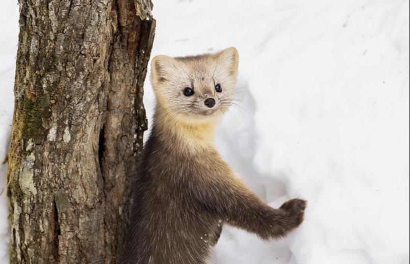 小伙创业年亏40万后逆袭,小伙创业亏损600万