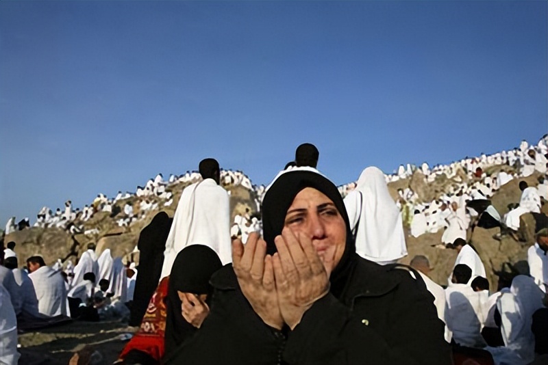 全世界穆斯林的人口变化,欧洲穆斯林人口增长为什么