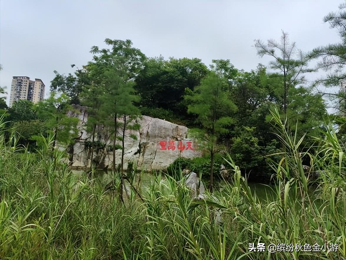 广西柳州有个小而美的公园，很多本地人都不知道，它原是个臭水塘