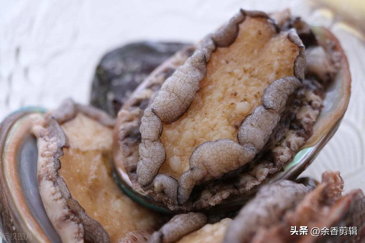 活鲍鱼死了该怎么处理,怎样处理鲍鱼才干净