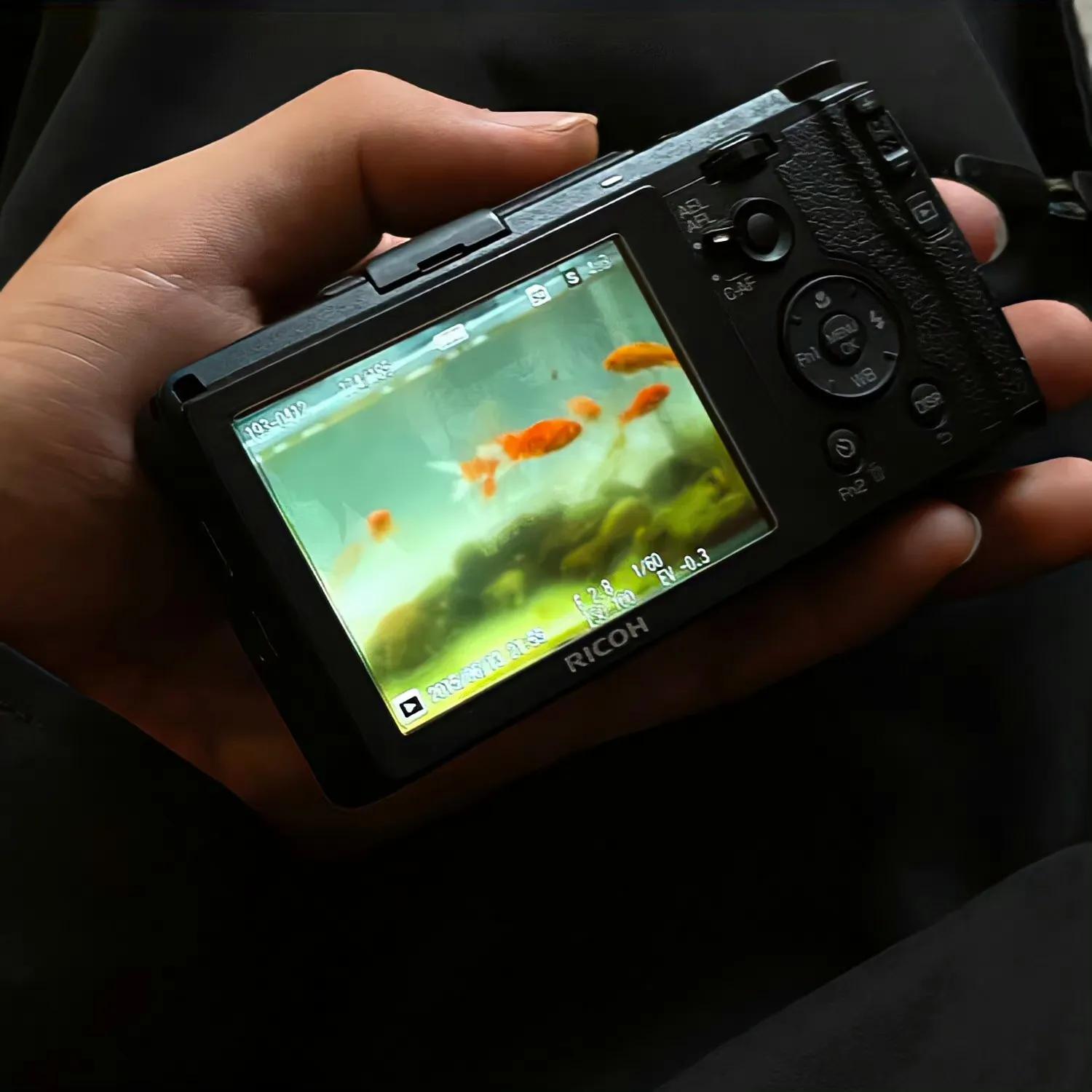 男生禁欲系氛围感p图,氛围感情侣照片禁欲系