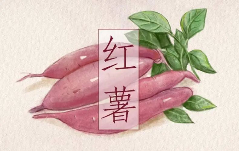 脾虚禁忌食物一览表,脾虚虚寒食物调理
