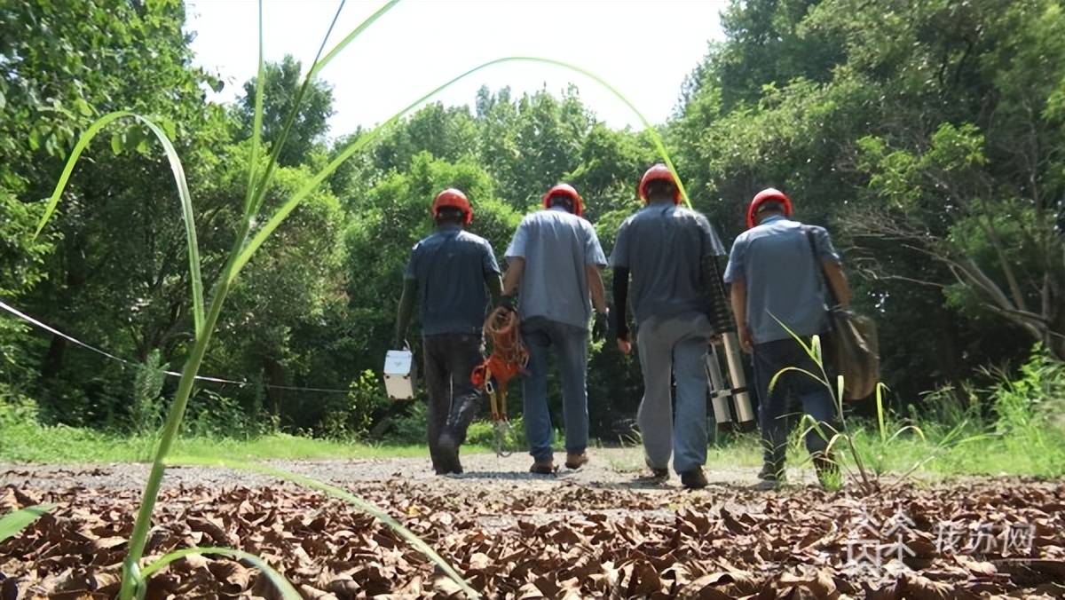 高温下的坚守建筑工人全身湿透,高温下的坚守致敬烈日下的建设者