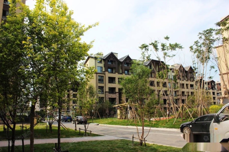 长春新星宇建筑安装有限责任公司,长春新星宇房地产