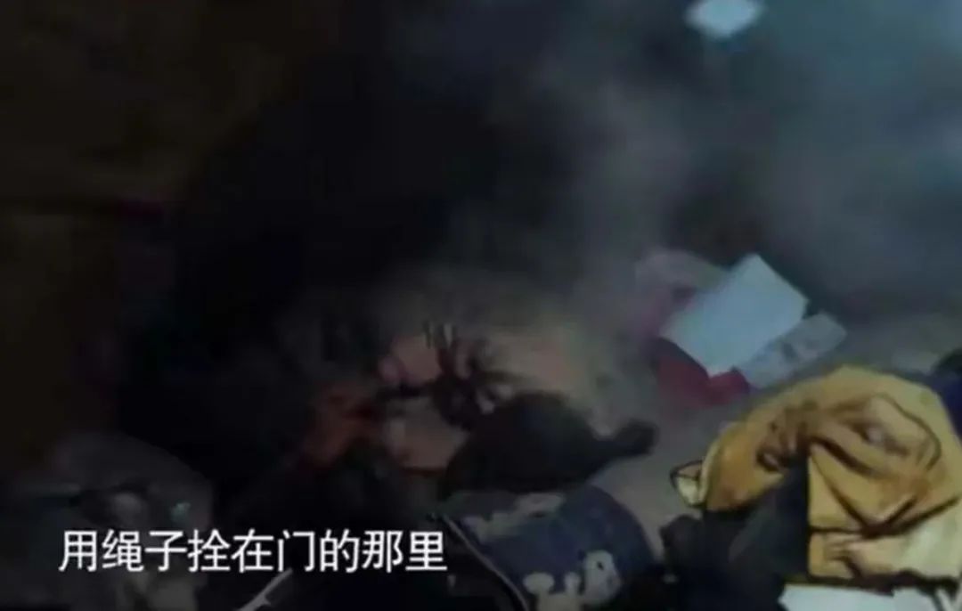 她才是日本最美电影女星,变形计俩大女主谁最牛