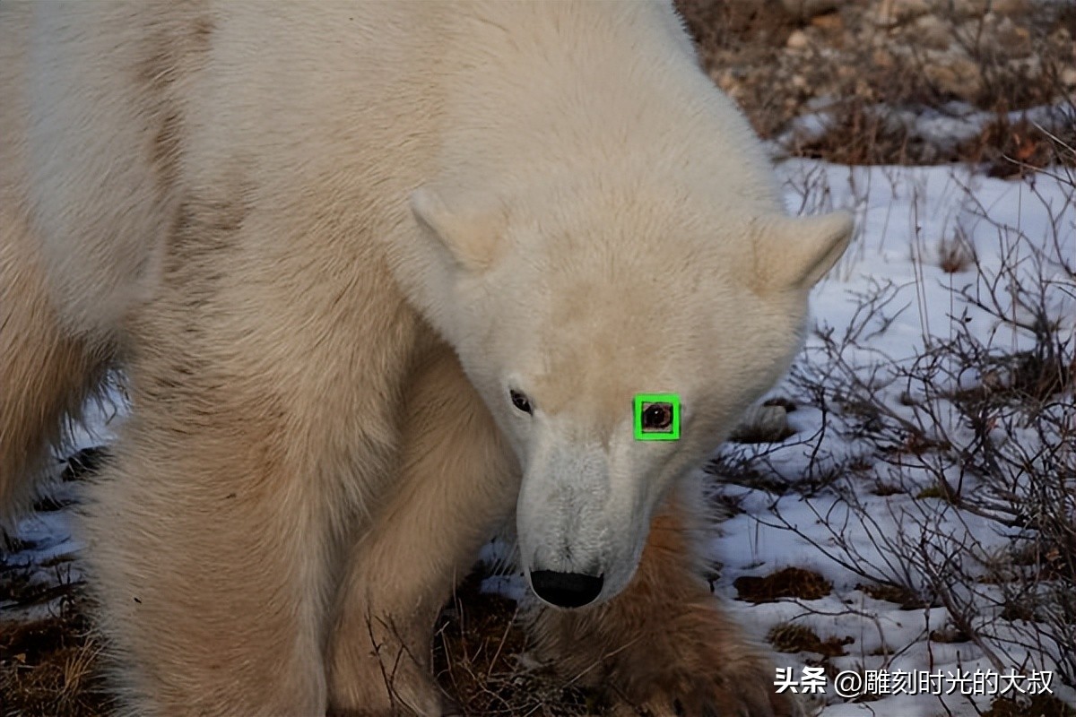 2022年最好的长焦相机是哪一款,2021年最值得购买的长焦相机