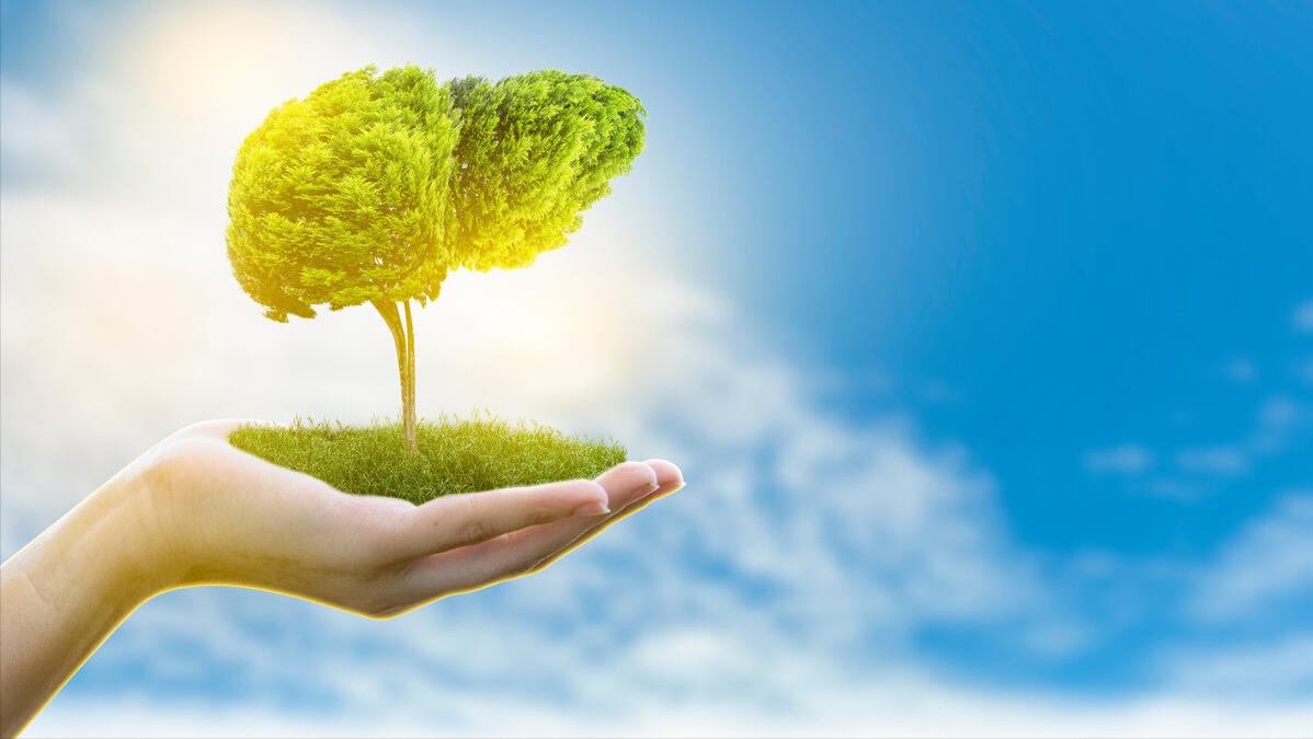 安乃近价格便宜,治疗效果佳,为什么现在却买不到?看完涨知识了