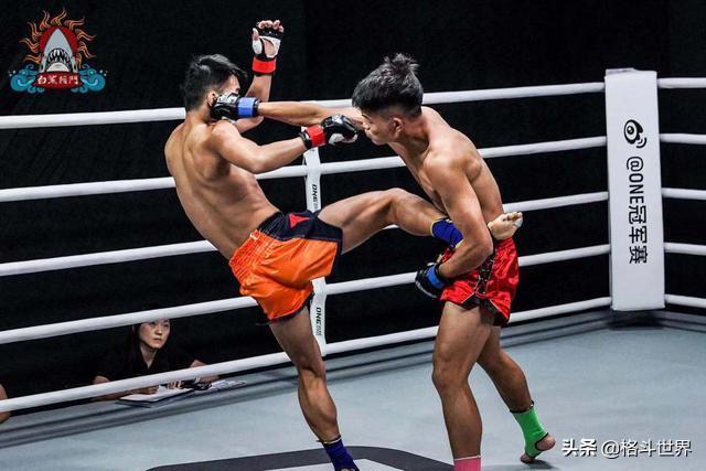 2022年中国搏击第1期TOP排名榜