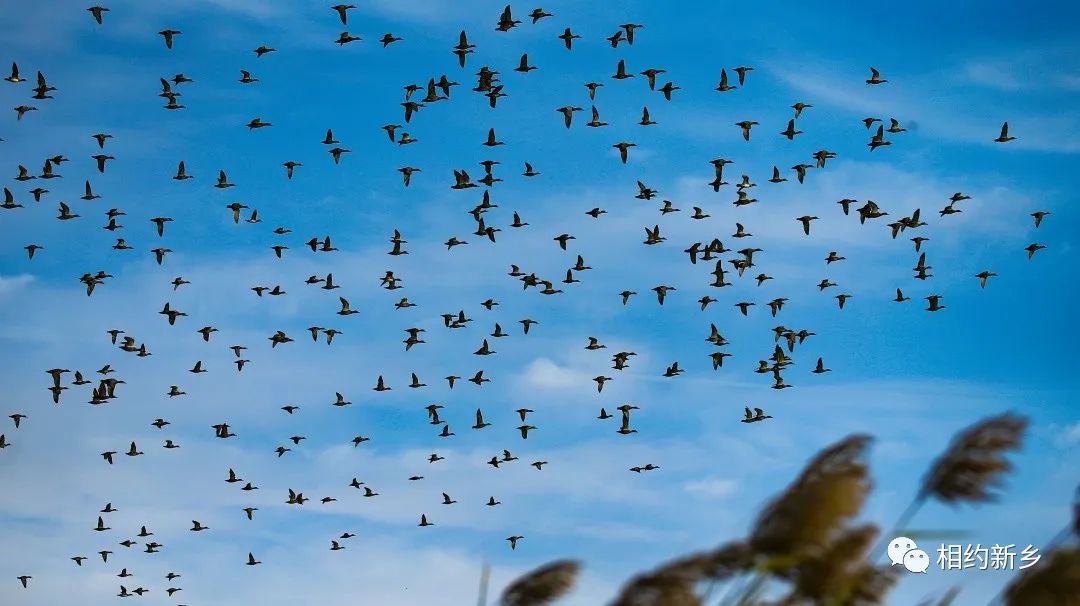 姘存鼎姘撮煹瓒抽亾spa,鏂颁埂姘撮煹