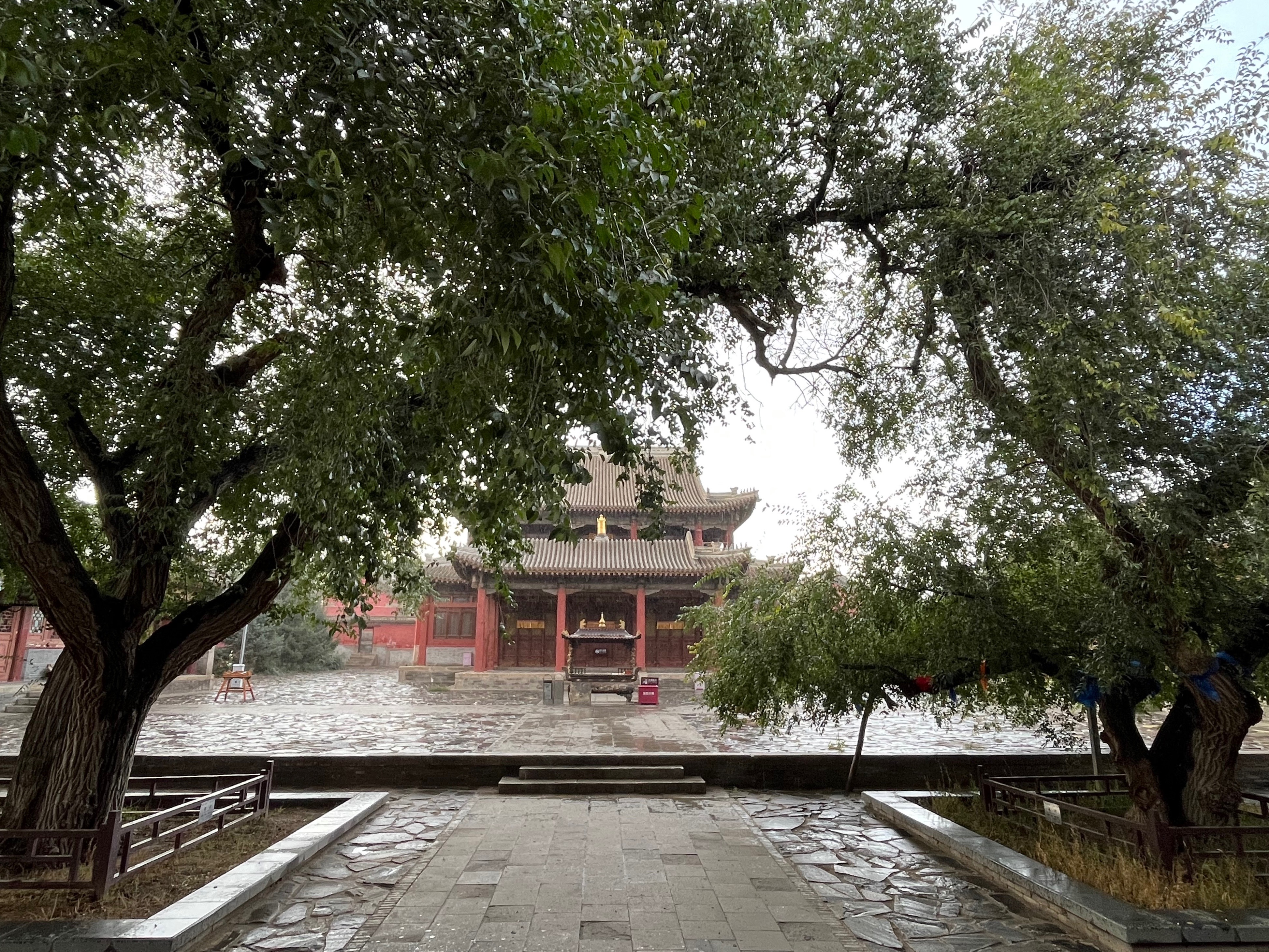 夫妻自驾11000公里,夫妻两人自驾游最新视频