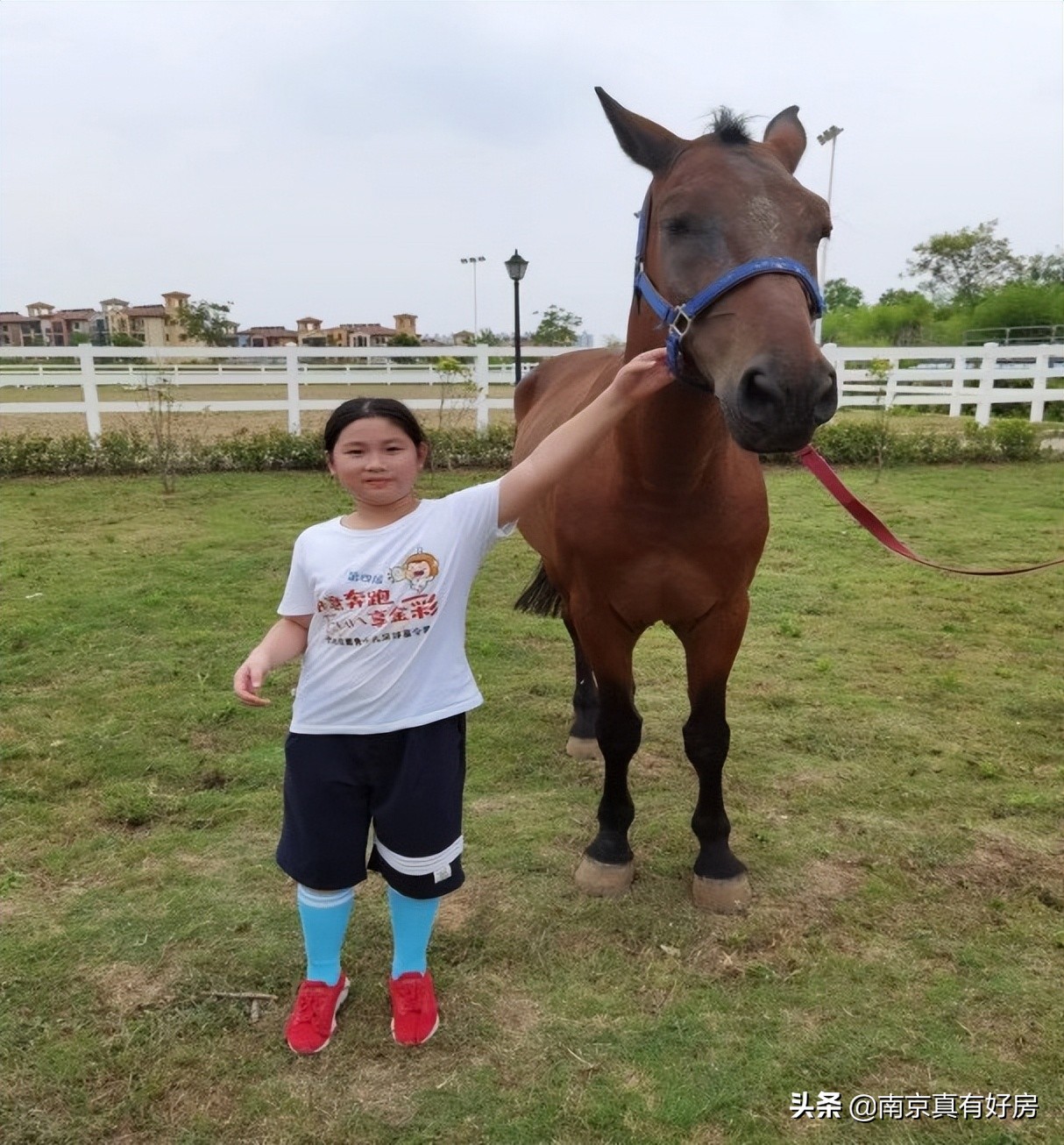 金地商置东部区域有限公司,金地商置新春