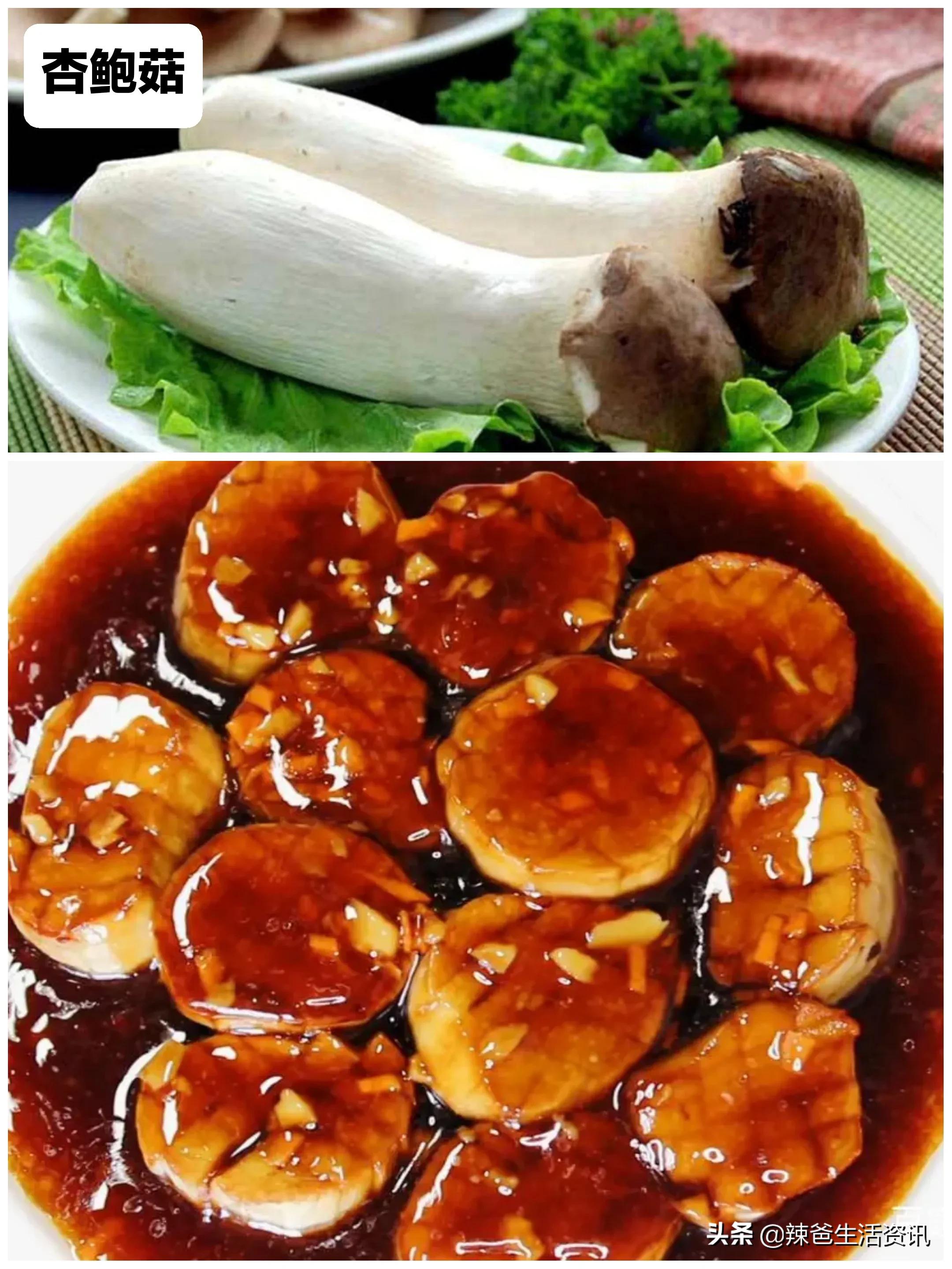 100种食用蘑菇大全,蘑菇的12种最佳吃法