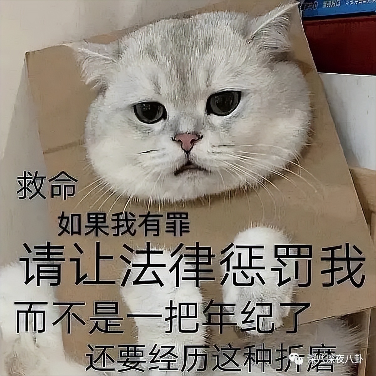 王子腾是几线演员,王子腾下一部戏