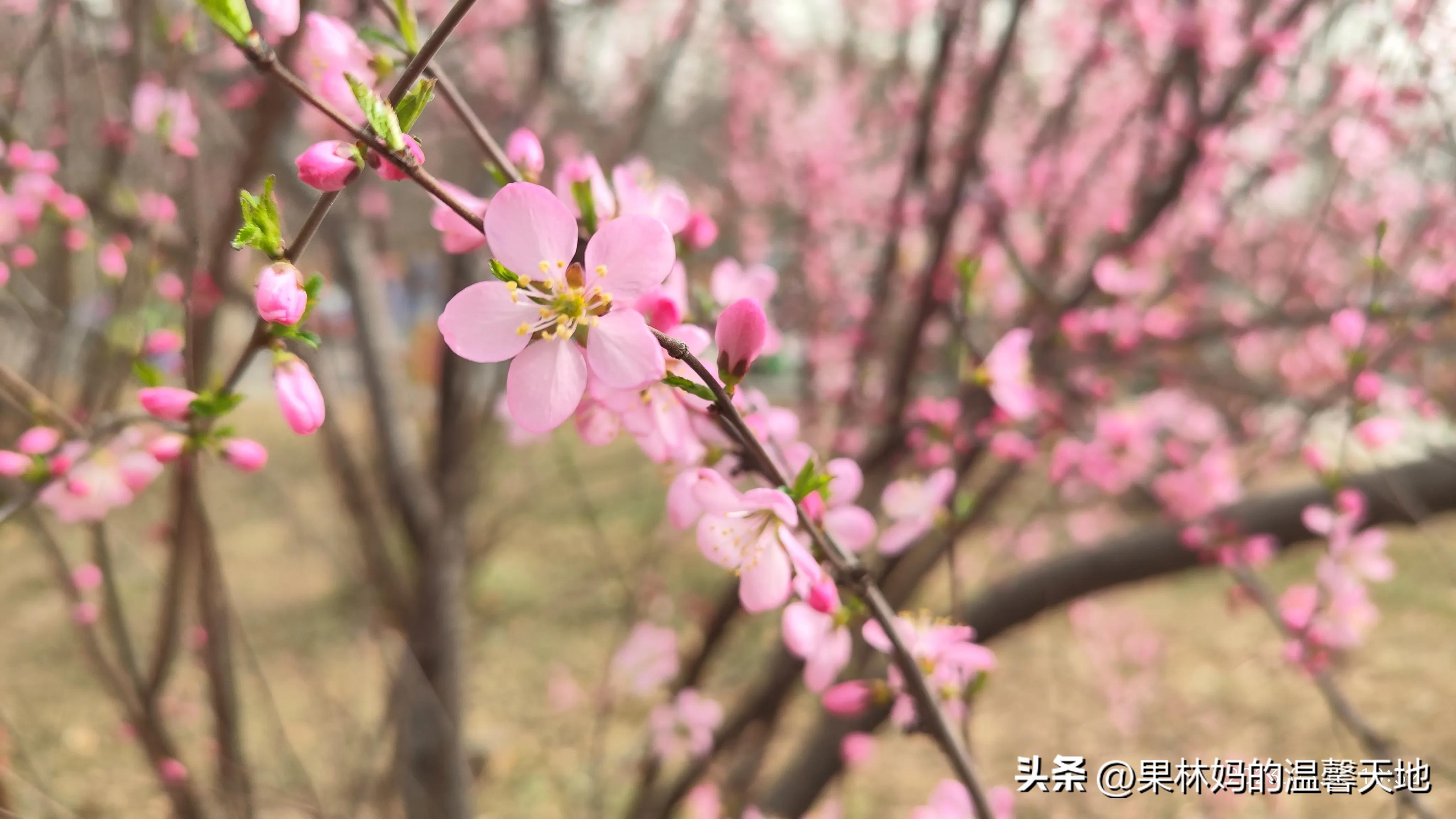 鼻腔有异物可以看急诊吗,晚上鼻腔异物看急诊