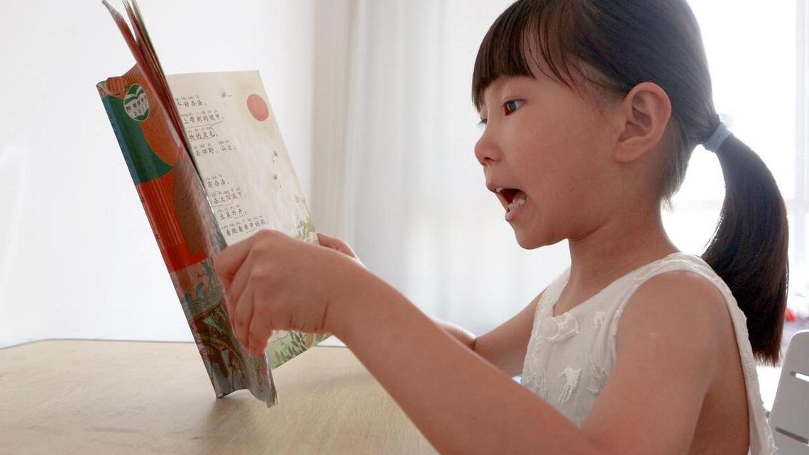 一年级上册语文期末重点考点总结,一年级语文下册期末考点归纳